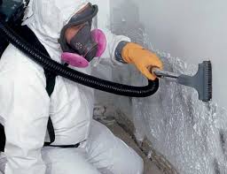 Best Industrial Mold Remediation  in Kenmore, NY